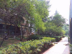 风华天城祺善坊图片相册,武汉风华天城祺善坊实景图 室外图 小区配套图