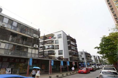 风华天城怎么样 武汉风华天城房价 房源 地址 户型图 周边配套详情