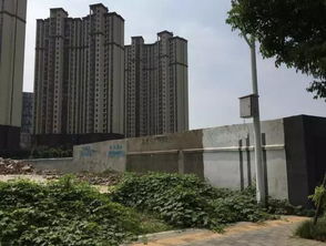 华侨城处于停工状态 金地中心风华即将公开 实探河西南神盘进展