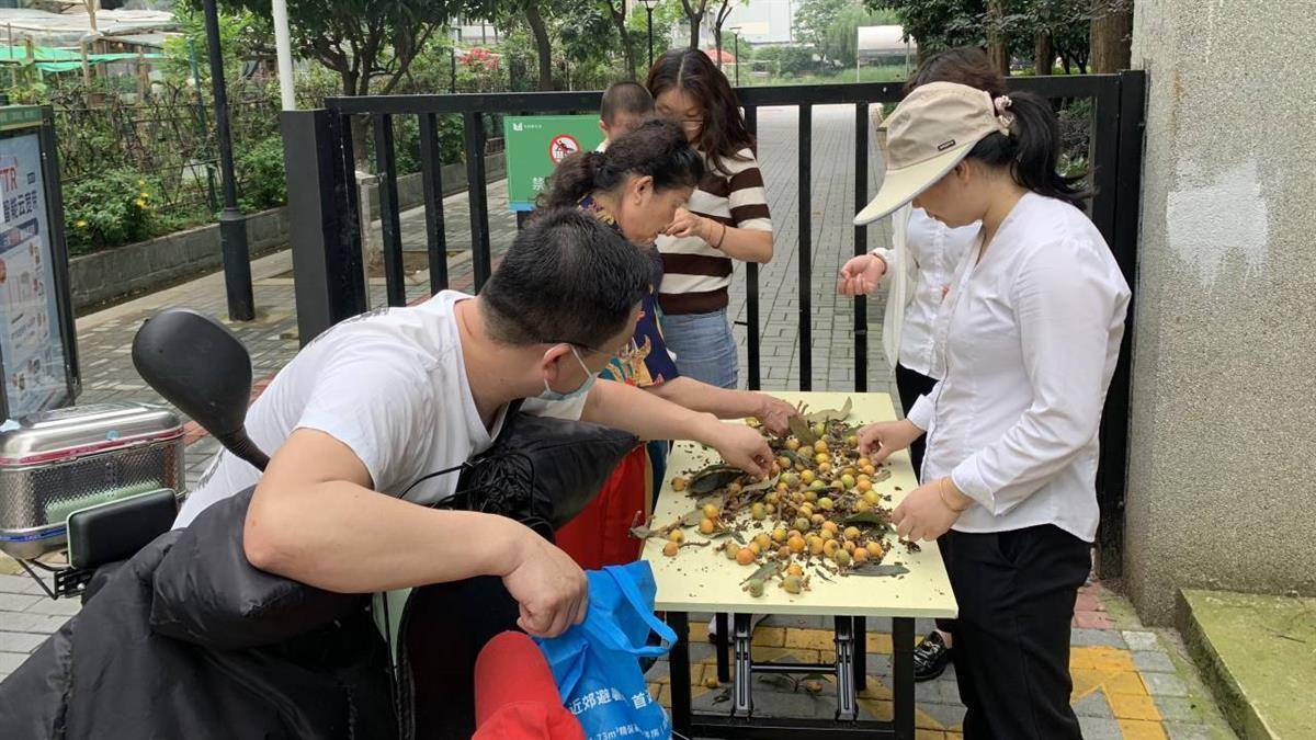 武汉水域风华社区举办幸福邻里“枇杷节”