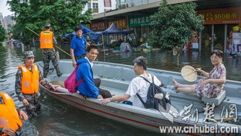 南湖孤岛里的 招手停