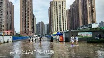 雨过天晴的武汉 还有一座孤岛叫 南湖