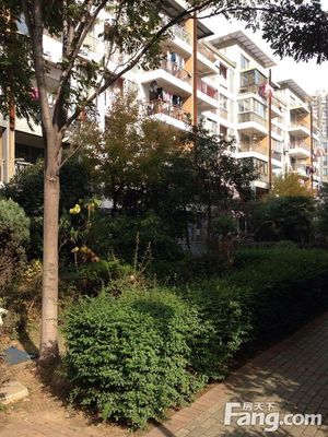 风华天城橘子洲