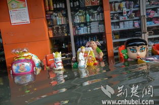 南湖孤岛里的招手停 风华天城的倒影