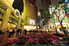 九龙仓繁华里 一城风华，名动天下