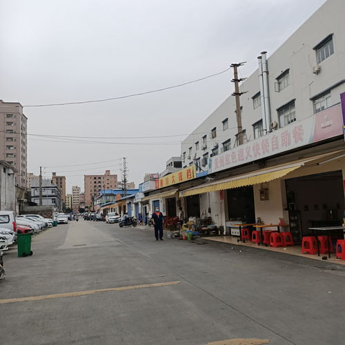 回忆东莞往事 风华天城的匆匆一日