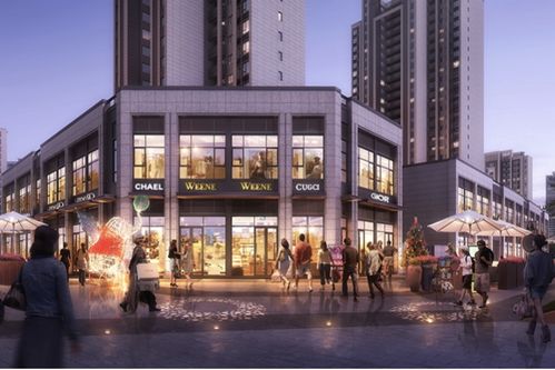 众大牌集体现身枣阳，风华天城盛事揭幕