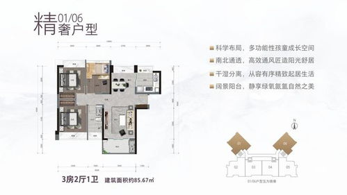 天樾峰公馆营销中心全新绽放,风华共鉴,荣耀启幕