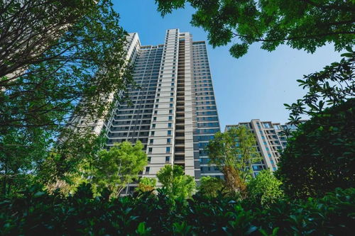 坚守保交付底线，旭辉集团上半年交房5.5万套——以风华天城为例看交付力